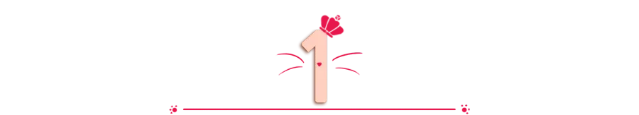 162333lzj8z0jj0uqsjj2s.webp