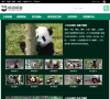 iPanda熊猫频道