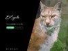 EbSynth