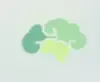 脑岛
