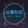 知微数据