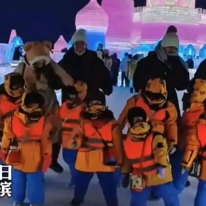 哈尔滨之所以成为一个备受关注的城市，爆火的原因有以下几点 ...