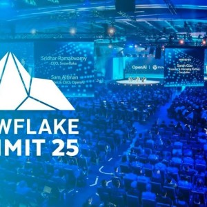 2025年Snowflake 的大数据平台SNOW AI帮助企业提升实时决策与运营效率 ...