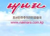 朝鲜国网站