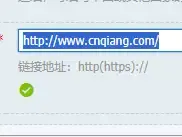 CHN强国网
