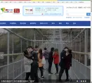 中国青年网图片频道