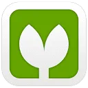 Vectorpea